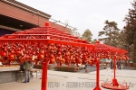 宮城縣護國神社 拝殿手前に置かれた「厄難消除ひょうたん」とひょうたん掛けの様子