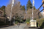 大崎八幡宮 境内表参道と二之鳥居の様子