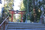 大崎八幡宮 大石段上りきった先の三之鳥居の様子