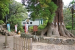 筑波山神社 随神門の倭健命像の様子