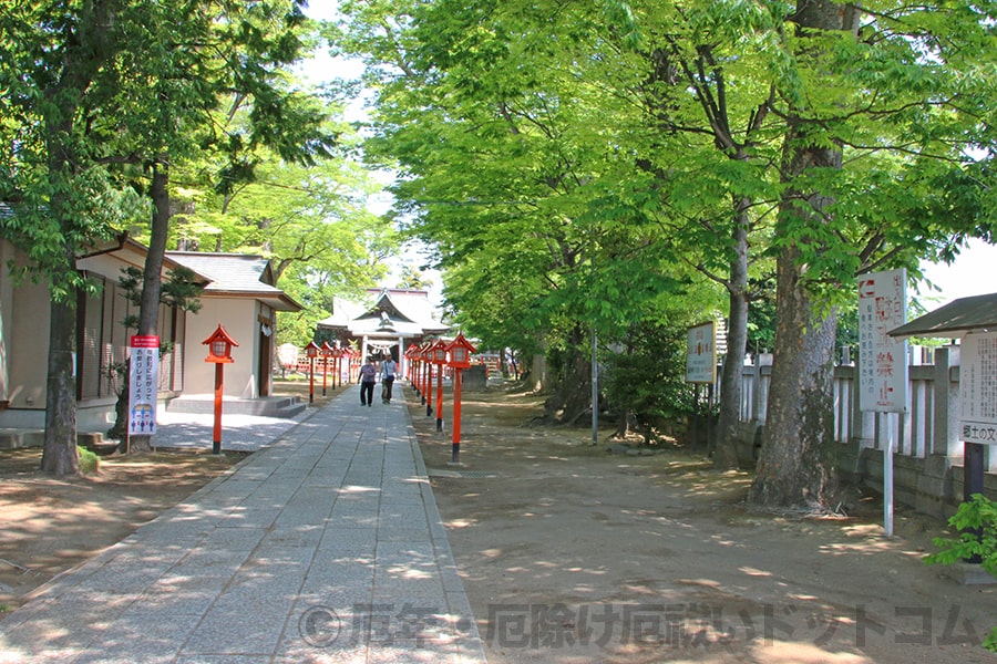 上野国総社神社 境内参道の様子