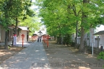 上野国総社神社 境内参道の様子