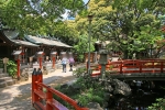千葉神社 境内の妙見池とその奥の末社の様子