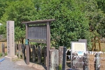 三嶋大社 金木犀と案内看板の様子