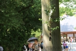 熱田神宮 鳥居に掲げられた榊の様子