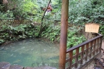 八重垣神社 鏡の池（姿見の池）の様子（その2）