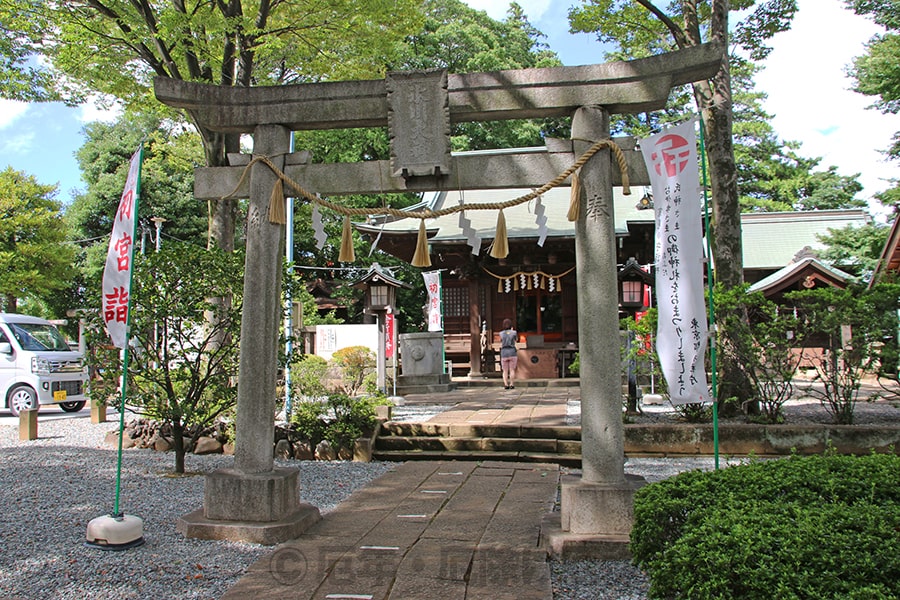 豊玉氷川神社 氷川神社側の鳥居と本殿の様子