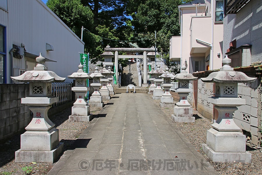大泉氷川神社 境内入ってすぐの参道と立ち並ぶ燈籠の様子