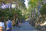 三峯神社 境内参道と豊かな自然の様子