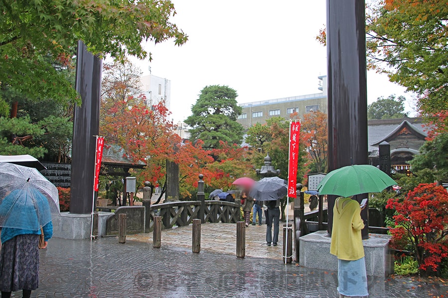 四柱神社 境内入口と大鳥居のたもとにある御幸橋の様子