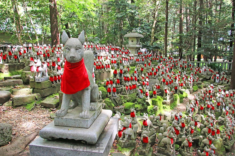 豊川稲荷 妙厳寺 霊狐塚と立ち並ぶ多くの狐像の様子（その2）