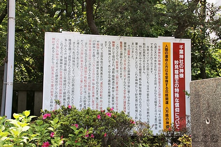 千葉神社 厄除け 厄祓いについての詳細 厄年 厄除け厄祓いドットコム