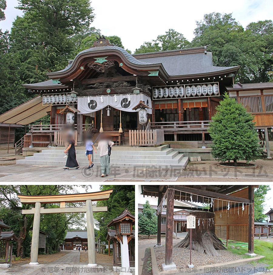 須賀神社の境内・本殿などの様子｜実際に訪問・参拝時に撮影