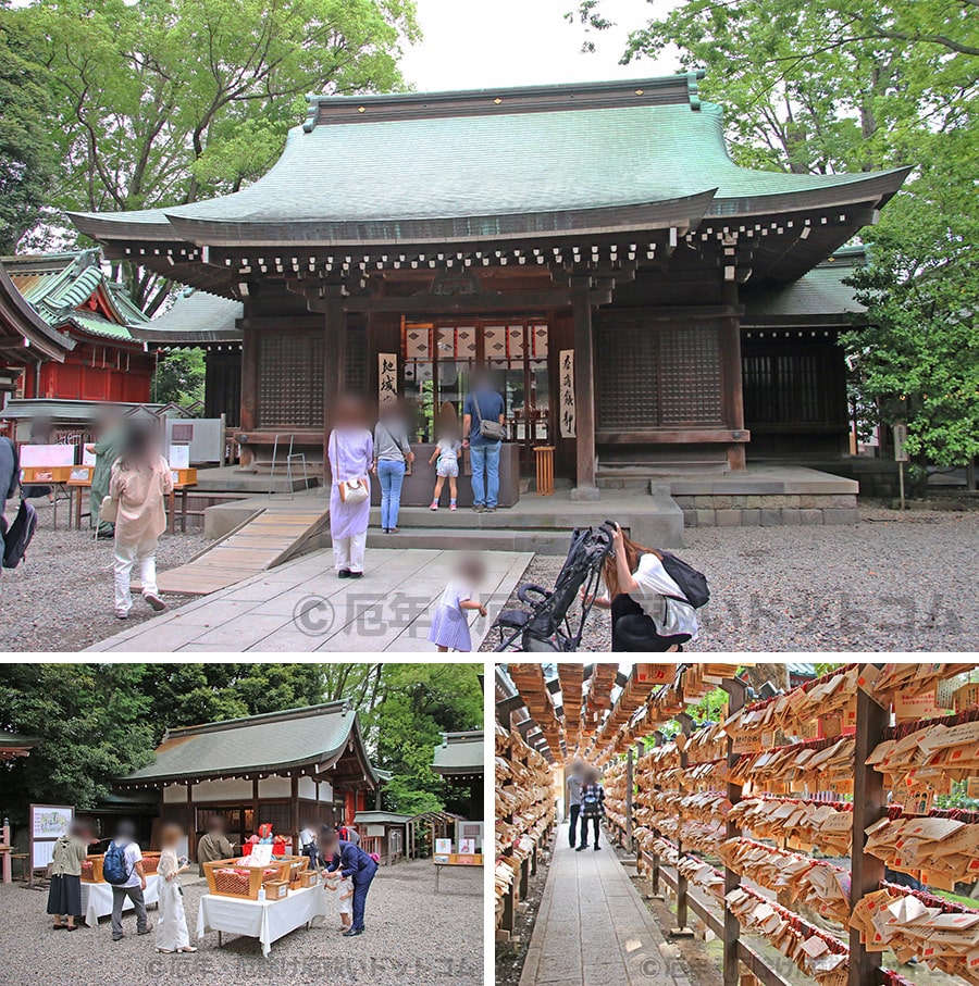 川越氷川神社の境内・本殿などの様子｜実際に訪問・参拝時に撮影