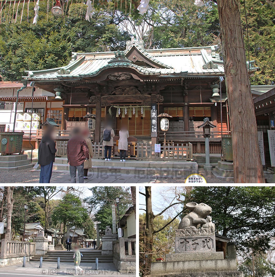 調神社の境内・本殿などの様子｜実際に訪問・参拝時に撮影