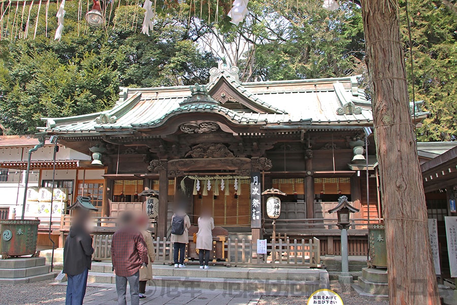 調神社 拝殿・本殿の様子