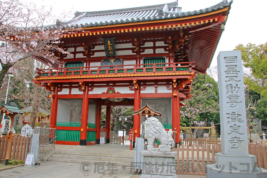 目黒不動尊 瀧泉寺 仁王門の様子